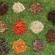 Illustration for article titled How to Protect Your Garden During the Hot Summer